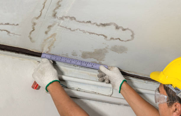 Reliable Mold Remediation contractor in Helenville, WI by Water Damage Irwin